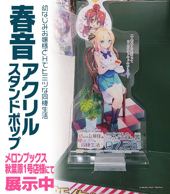 『 幼なじみお嬢様とＨでヒミツな同棲生活 』 春音アクリルスタンドポップを  メロンブックス秋葉原1号店様 メロンブックス大阪日本橋店様  にて展示中！