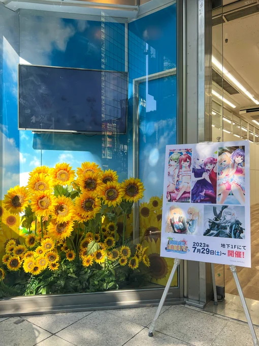 VA夏フェス2023 オープン致しました🏝 本日の営業時間は、11:00～20:00です。