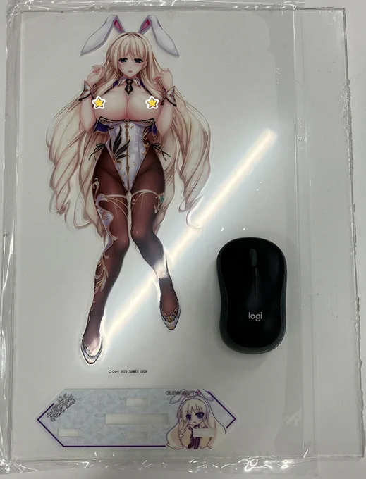『アクリルピローライズフィギュア ～シルヴェリア バニーver.』 抱き枕では切れてしまう髪なども全部見れる商品です！〆切は21日！