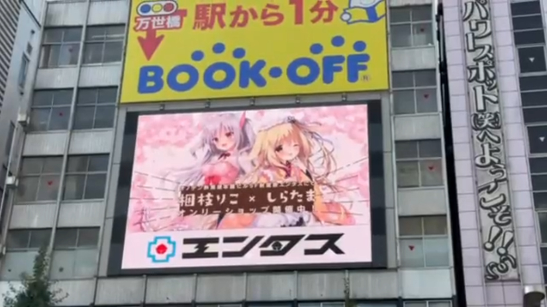 【きゃべつそふと】本日より3日間限定！ 秋葉原 オノデンMXビジョンにて限定CMが放送されております！