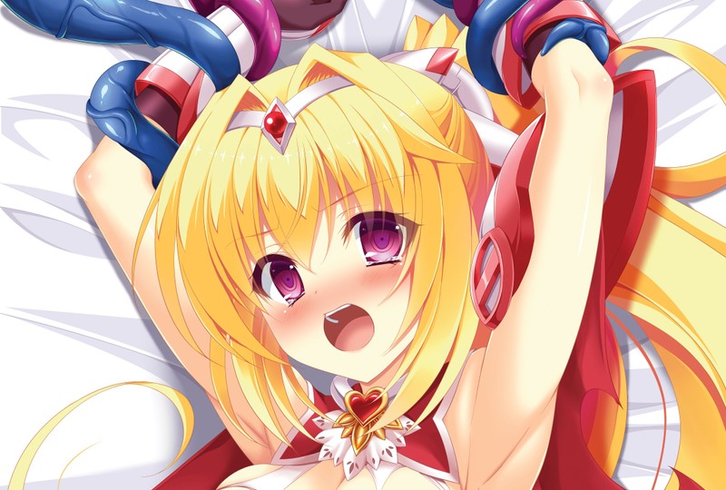 Ci-enに投稿しました「1月の高解像度画象は【魔法少女ミハル・抱き枕裏】です」