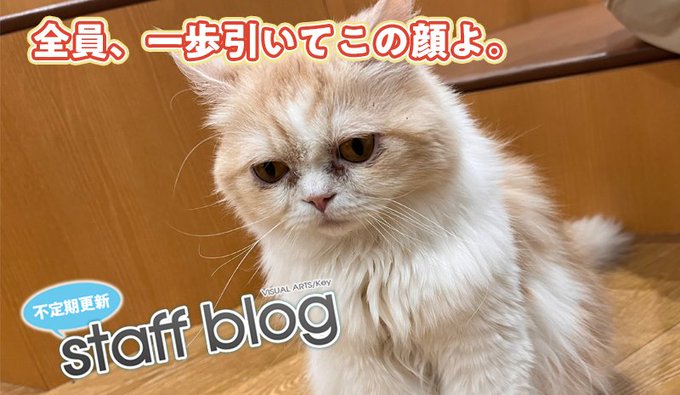 【Key】不定期スタッフ日誌更新！