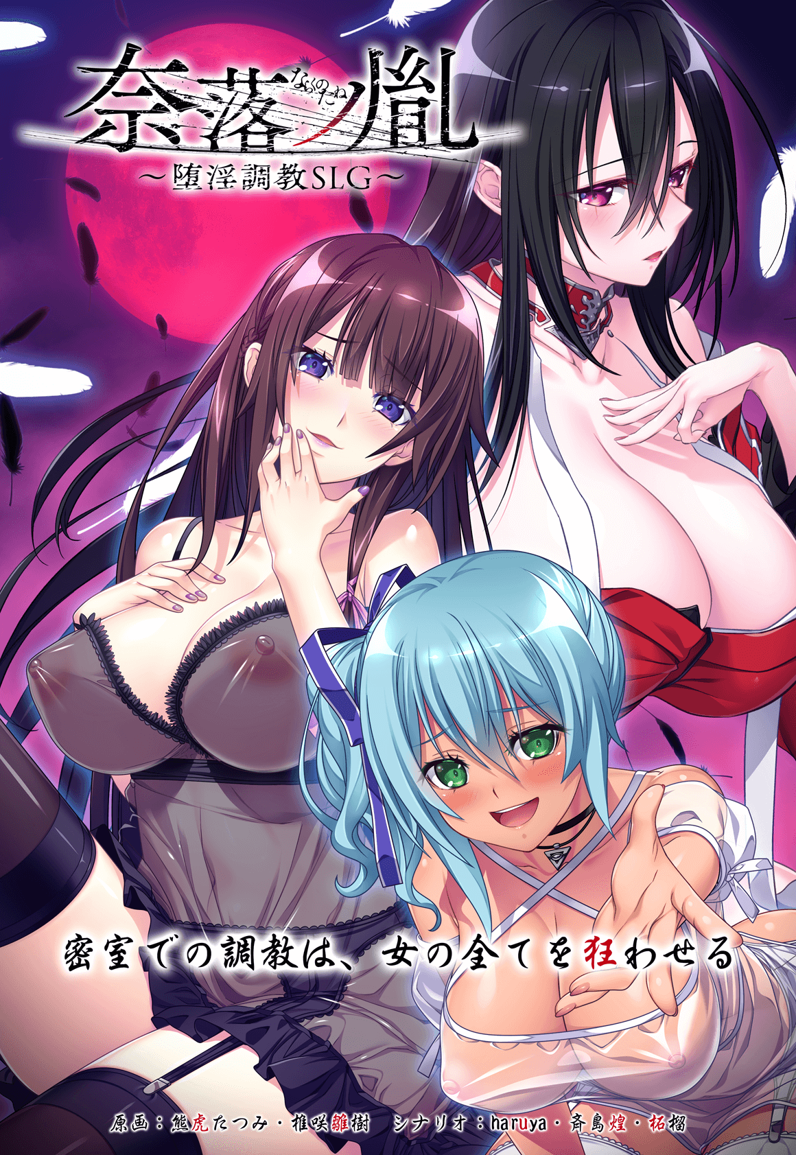 【chaos-r】 ｢奈落ノ胤～堕淫調教SLG～｣ パッケージ版発売３日前のカウントダウンボイスを公開！