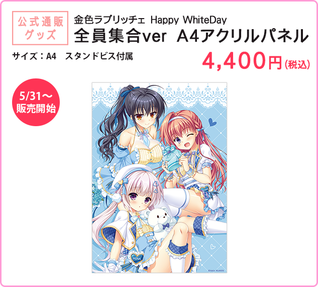【サガプラネッツ】サガプラコーナーに新商品が追加されました✨