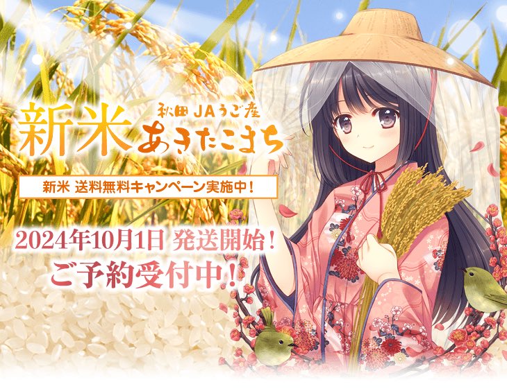 JAうご産『あきたこまち🌾』本年度令和6年産米の新米予約受付を早期に開始されました‼️【イラスト： 西又 葵】