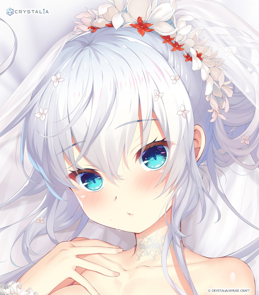 【CRYSTALiA】朱雀院紅葉と撫子の抱き枕カバーは1月28日のが予約締切です！