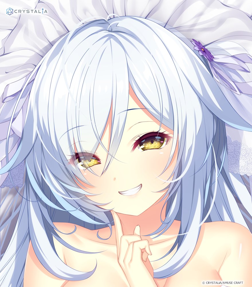 【CRYSTALiA】朱雀院４姉妹の抱き枕カバー！ 椿＆都子の通販予約受け付けは本日までとなります！