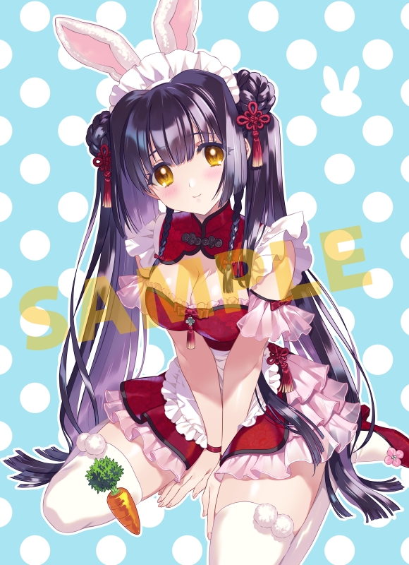 【アニメイト】『顔のない月 -待宵の双椿-』📣予約受付中