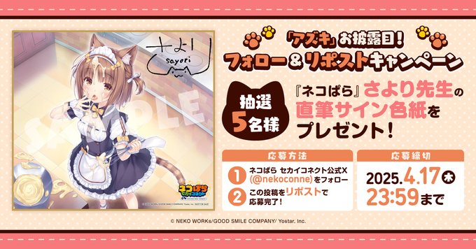 『ネコぱら セカイコネクト』「アズキ」お披露目 リポストキャンペーン🎁