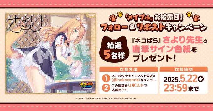 『ネコぱら セカイコネクト』「メイプル」お披露目 リポストキャンペーン🎁