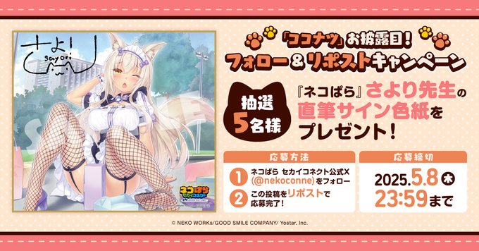 『ネコぱら セカイコネクト』「ココナツ」お披露目 リポストキャンペーン🎁