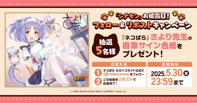 『ネコぱら セカイコネクト』「シナモン」お披露目 リポストキャンペーン🎁