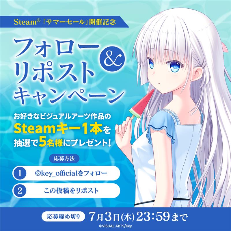 【Key】Steam®「サマーセール」開催記念  フォロー＆リポストキャンペーン！