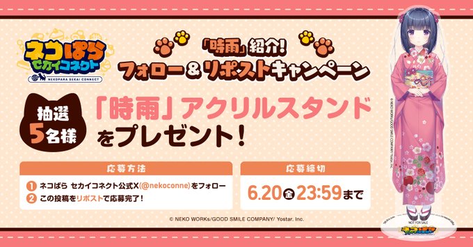 ネココネ「時雨」紹介👘 リポストキャンペーン🎁