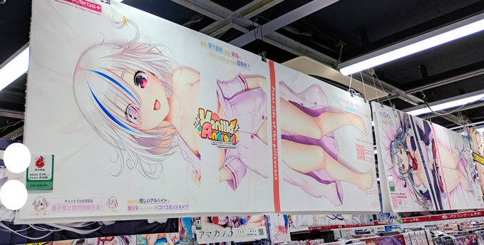 【monoceros+】ソフマップAKIBA アミューズメント館様にてVanilla Android ミネルヴァ抱き枕カバー広告を設置いただいております！👍👍👍