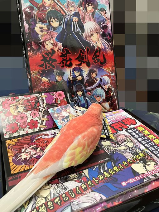【IROORI】八剱伝＆桜花裁きの特典満載！桜花剣乱いよいよ今週発売！