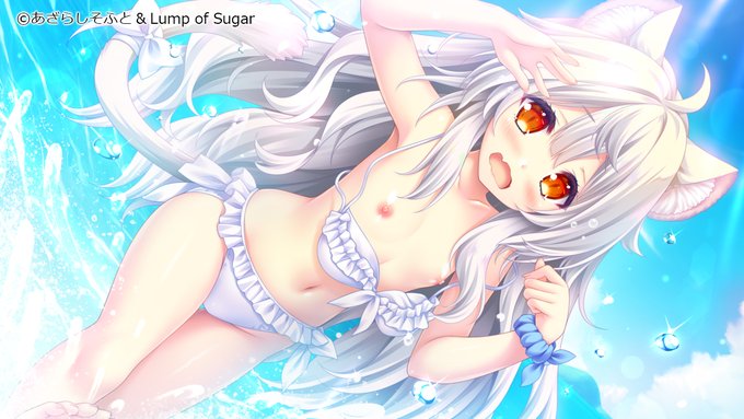 【BugBug】あざらしそふと×Lump of Sugar『きら☆かの』をヤリ込みレビュー‼