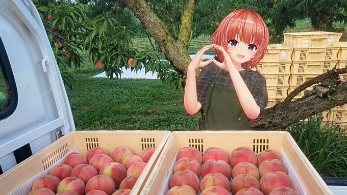 KISSブログ更新しました！『第63回 KISS公式ニコニコ生放送『いい旅、夢イド気分♪　夏の記録SP！』まとめ』
