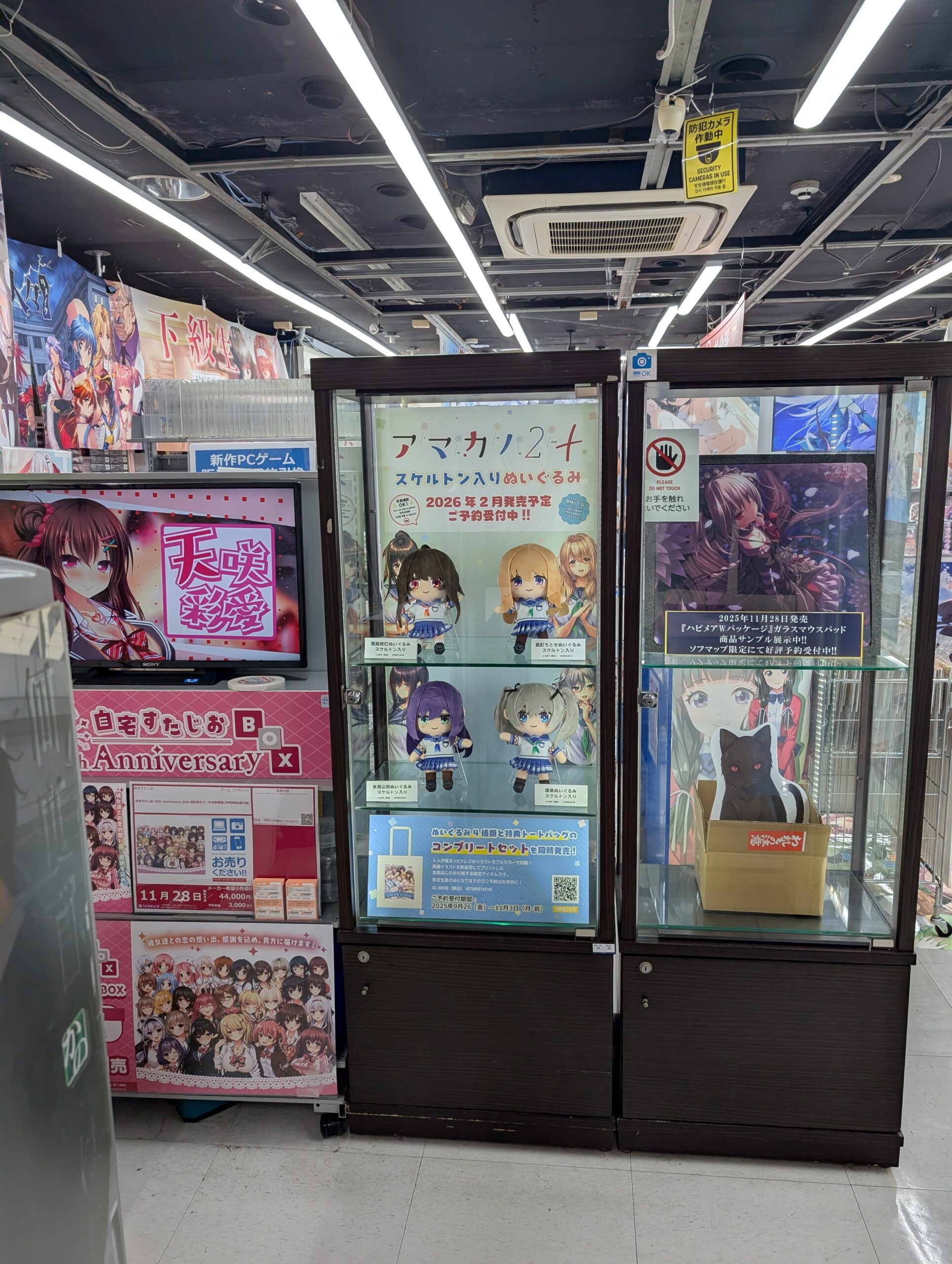 【CranCrown】新作のアマカノ2+ぬいぐるみ、ソフマップAKIBAアミューズメント館様4Fにて展示いただいております！