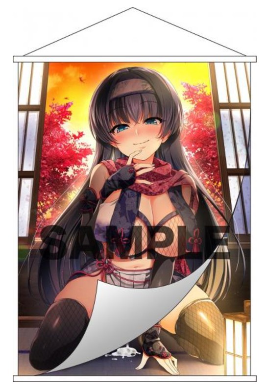 【IRODORI】CGF2025冬・R18開催！八剱伝抱き枕カバー、くノ一学園シリーズを出品しております！