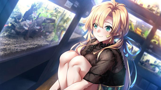 【あざらしそふと】『アマナツ＋』海外版のリリース日が4月14日に決定！
