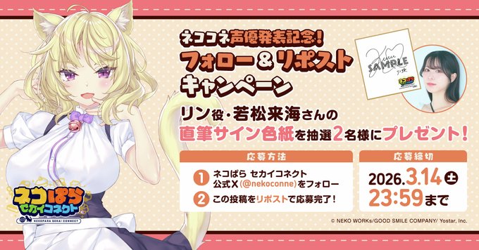 『ネコぱら セカイコネクト』声優発表記念リポストキャンペーン🎁リン役 #若松来海 さんの直筆サイン色紙を 抽選で2名様にプレゼント！✨