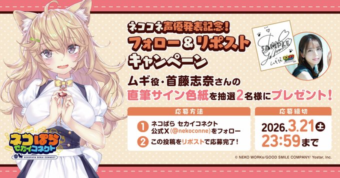 『ネコぱら セカイコネクト』声優発表記念リポストキャンペーン🎁 ムギ役 #首藤志奈 さんの直筆サイン色紙を 抽選で2名様にプレゼント！✨