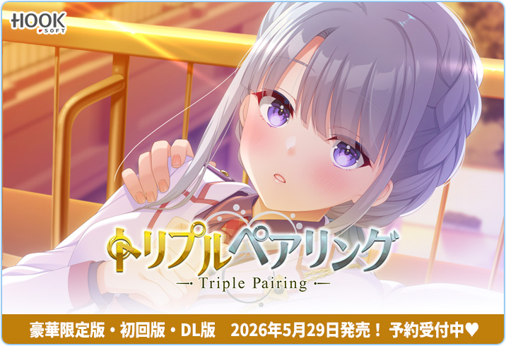 【HOOKSOFT】『トリプルペアリング-Triple Pairing-』【📢ダウンロード版予約受付中】