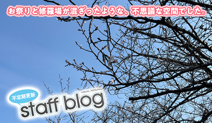 【Key】不定期スタッフ日誌更新！